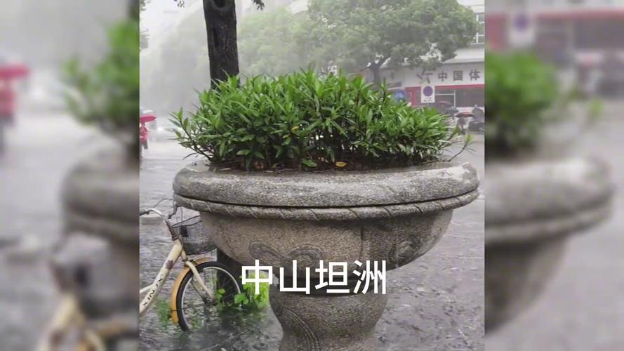 天气中山市天气预报，天气中山市天气预报查询？-第5张图片-优品飞百科