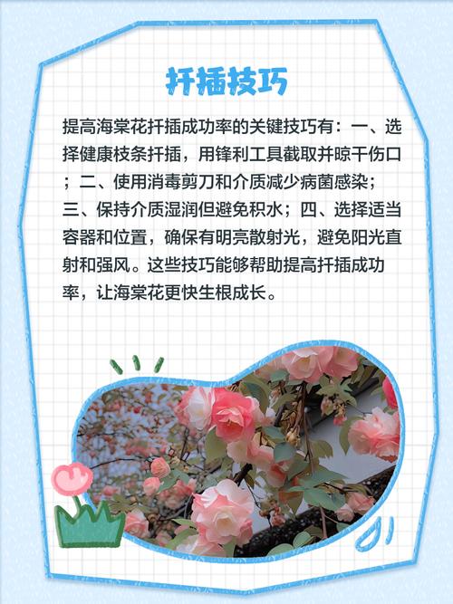 海棠花秋季的养殖方法，怎么扦插，秋季海棠花怎么浇水？-第4张图片-优品飞百科