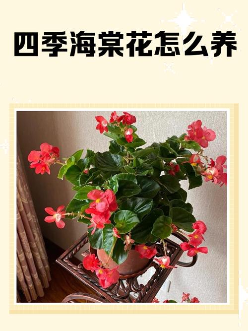 海棠花秋季的养殖方法，怎么扦插，秋季海棠花怎么浇水？-第5张图片-优品飞百科