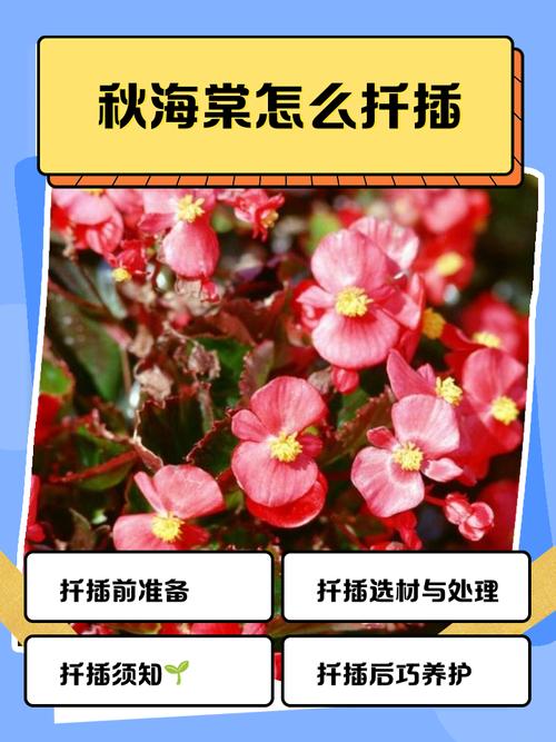 海棠花秋季的养殖方法，怎么扦插，秋季海棠花怎么浇水？-第8张图片-优品飞百科