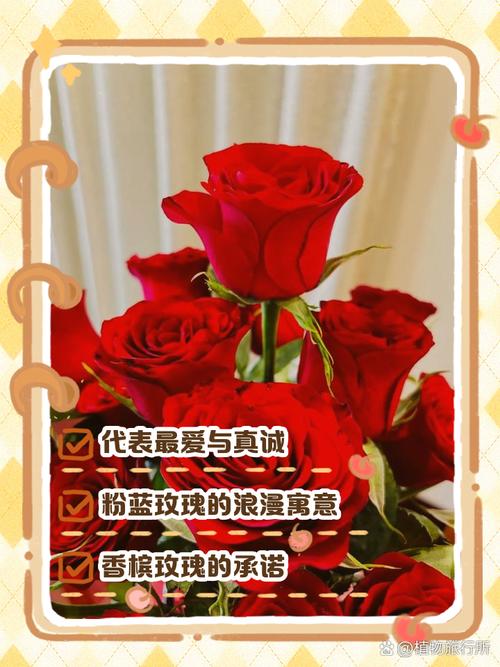 21朵玫瑰花代表什么意思，玫瑰花枝数的代表意思？-第2张图片-优品飞百科