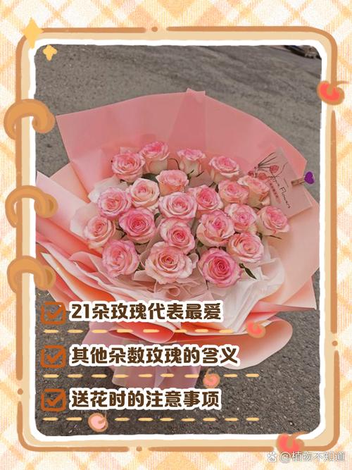 21朵玫瑰花代表什么意思，玫瑰花枝数的代表意思？-第6张图片-优品飞百科