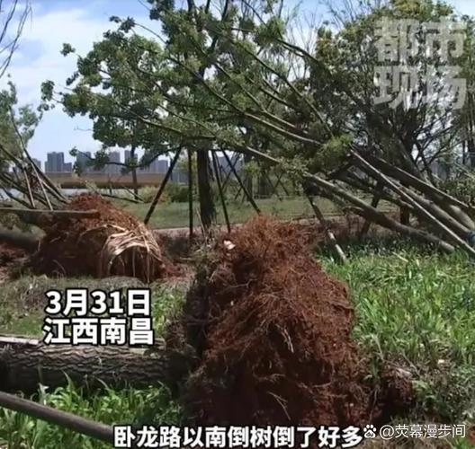 湖口一周天气预报，九江市湖口县天气预报一周？-第3张图片-优品飞百科