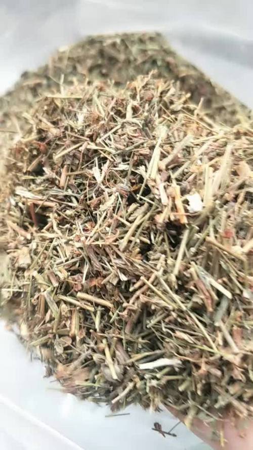 地耳草的功效与作用?地耳草的功效与作用主要治什么病?-第3张图片-优品飞百科 地耳草的功效与作用?地耳草的功效与作用主要治什么病?-第3张图片-优品飞百科