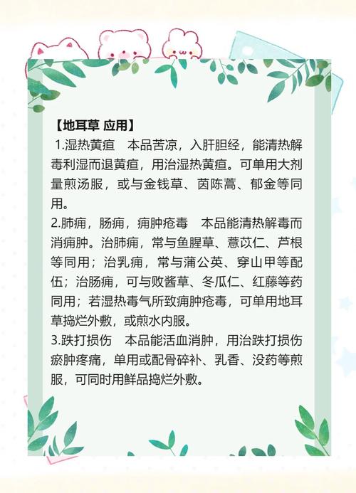 地耳草的功效与作用?地耳草的功效与作用主要治什么病?-第6张图片-优品飞百科 地耳草的功效与作用?地耳草的功效与作用主要治什么病?-第6张图片-优品飞百科
