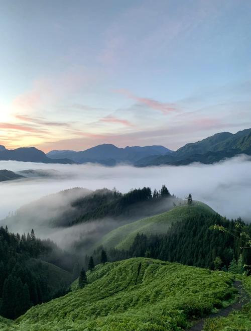 洪雅天气预报，雅安天气预报-第1张图片-优品飞百科