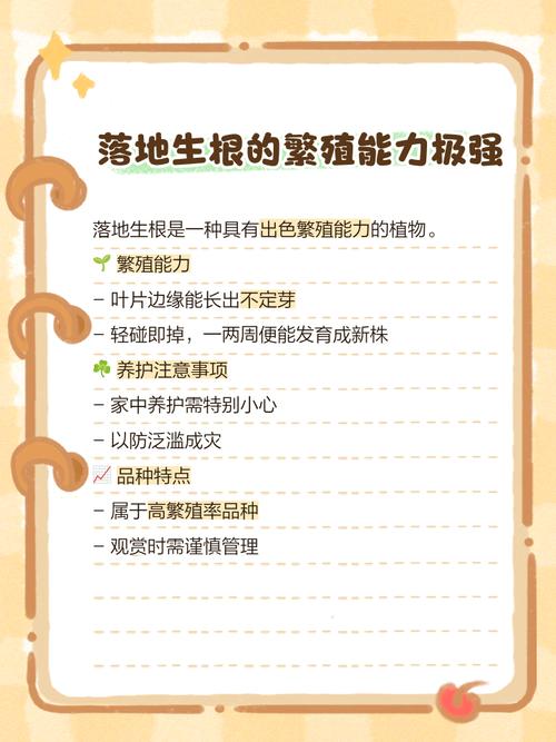 落叶生根适合室内养吗，落叶生根盆栽？-第4张图片-优品飞百科
