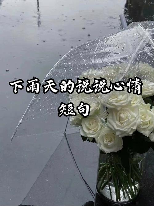 韦庄天气预报，韦庄天气预报40天？-第6张图片-优品飞百科