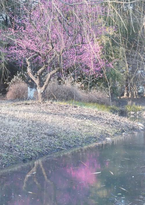 黄桥天气预报，泰州黄桥天气预报？-第7张图片-优品飞百科