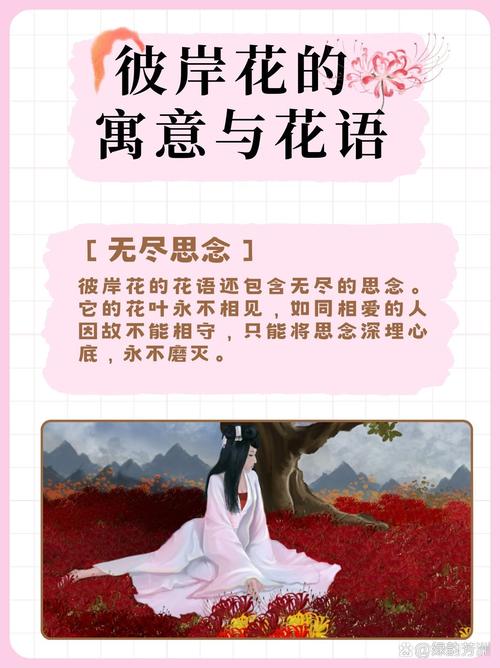 曼珠沙华的花语,曼珠沙华图片,曼珠沙华有什么寓意-第7张图片-优品飞百科 曼珠沙华的花语,曼珠沙华图片,曼珠沙华有什么寓意-第7张图片-优品飞百科