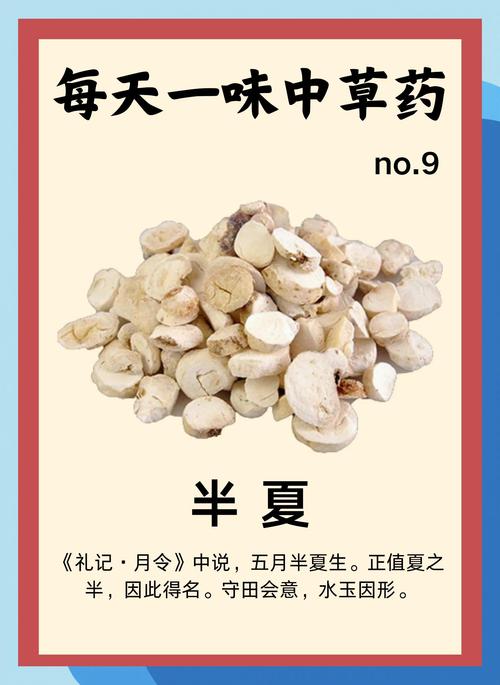 半夏的药用价值？半夏的药用价值和功效？-第8张图片-优品飞百科