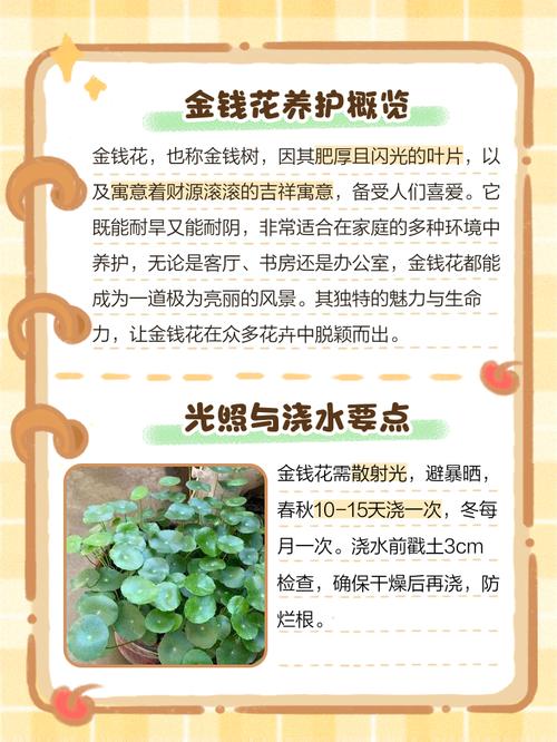 金钱草的花期,金钱草开花后怎么处理,金钱草开花了有什么寓意?-第2张图片-优品飞百科 金钱草的花期,金钱草开花后怎么处理,金钱草开花了有什么寓意?-第2张图片-优品飞百科