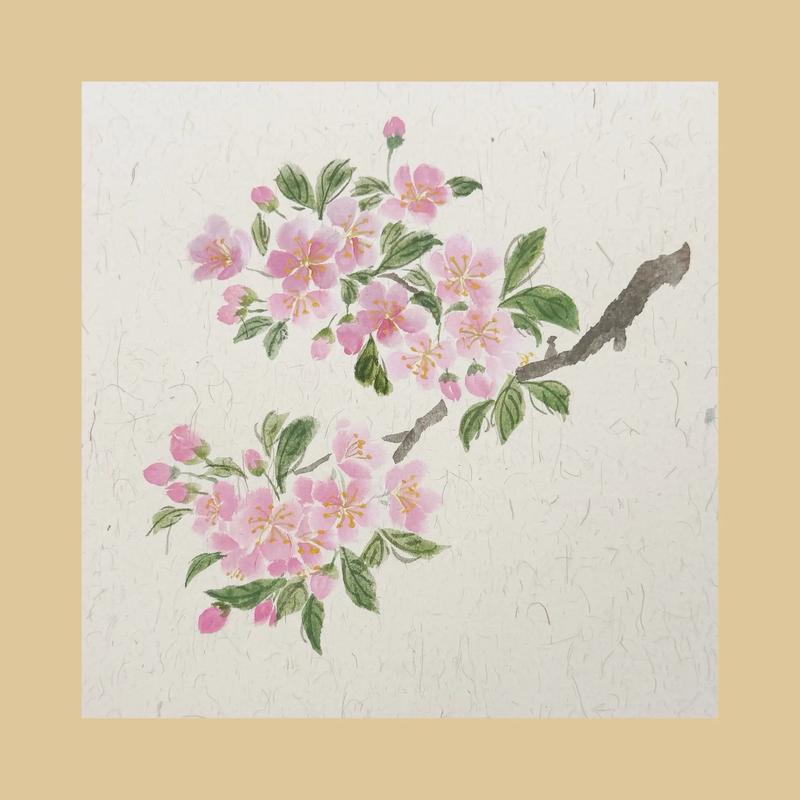 垂枝海棠的花语和文化背景，垂枝海棠什么时候开花？-第1张图片-优品飞百科