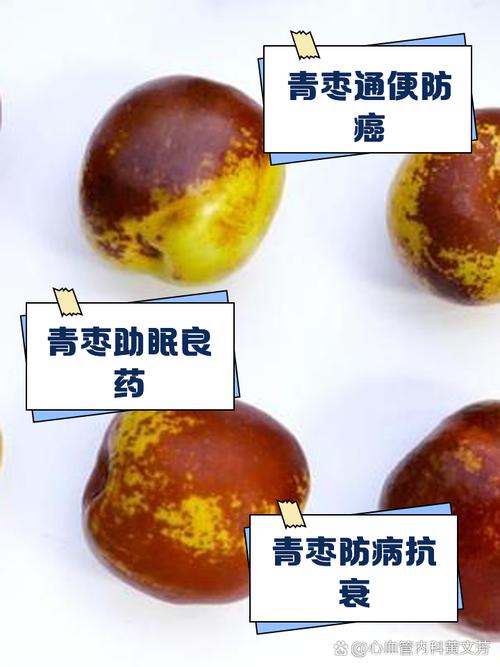 青枣的功效与作用，水果青枣的功效与作用？-第3张图片-优品飞百科