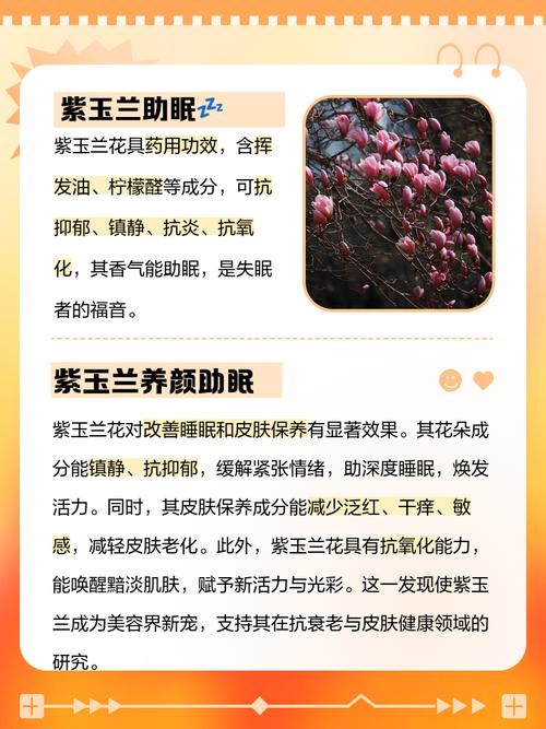 紫玉兰的功效和作用，紫玉兰的药用价值？-第5张图片-优品飞百科