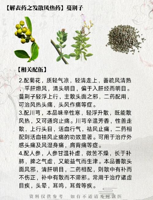 蔓荆子的功效与作用？中药炒蔓荆子的功效与作用？-第2张图片-优品飞百科