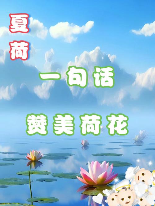 荷花能寓意什么，荷花的花色多吗，荷花能代表什么？-第7张图片-优品飞百科