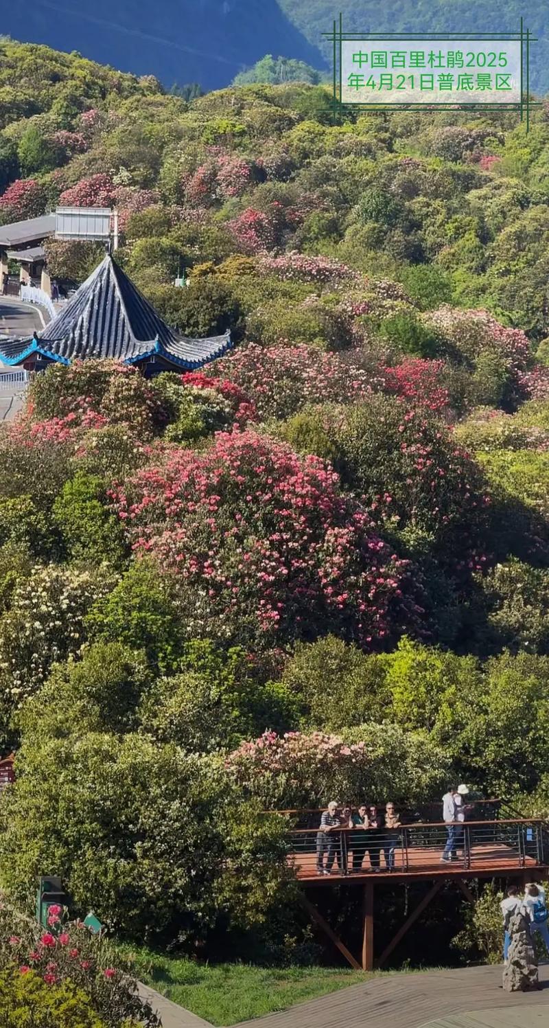 贵州明天天气预报,贵州明天天气预报情况-第5张图片-优品飞百科 贵州明天天气预报,贵州明天天气预报情况-第5张图片-优品飞百科