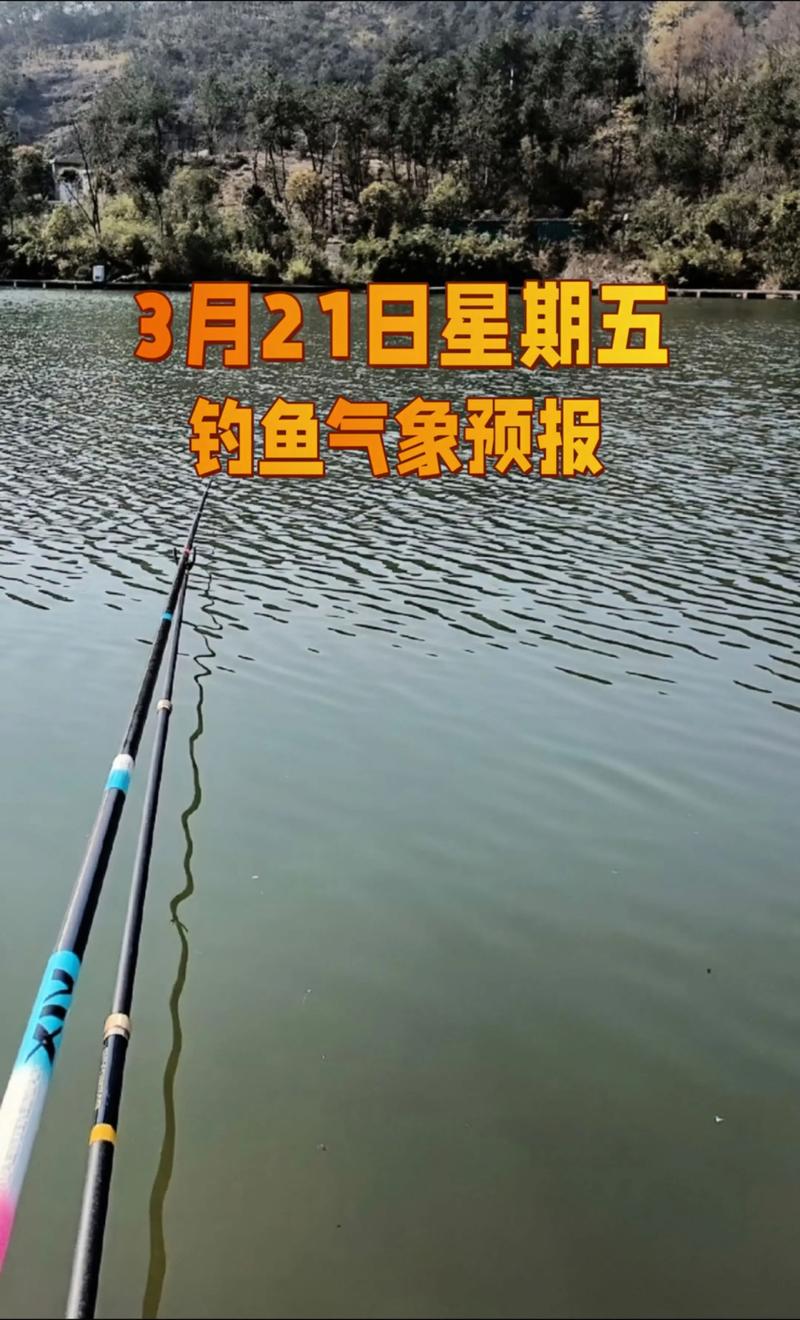 盐城钓鱼天气预报，盐城钓鱼天气预报鱼口时间表？-第2张图片-优品飞百科