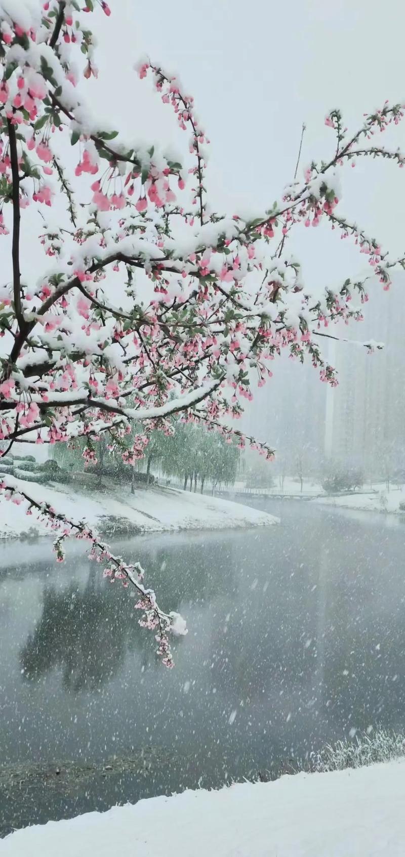 宜昌夷陵天气预报，宜昌天气夷陵天气-第6张图片-优品飞百科