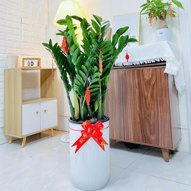 夏天养盆它，吸甲醛旺风水，家里立马变氧吧！？吸甲醛养什么植物好？-第2张图片-优品飞百科