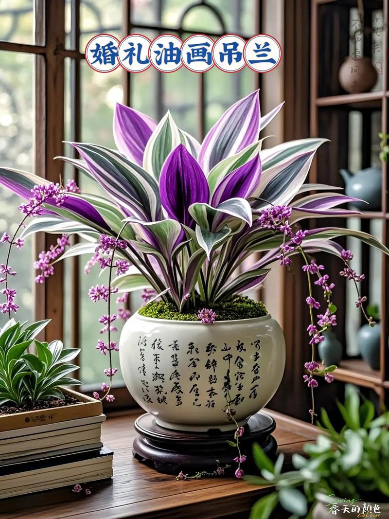 小叶榕和虎皮榕的区别，是同一种植物吗？台湾虎皮榕黄叶落叶是怎么回事？-第5张图片-优品飞百科