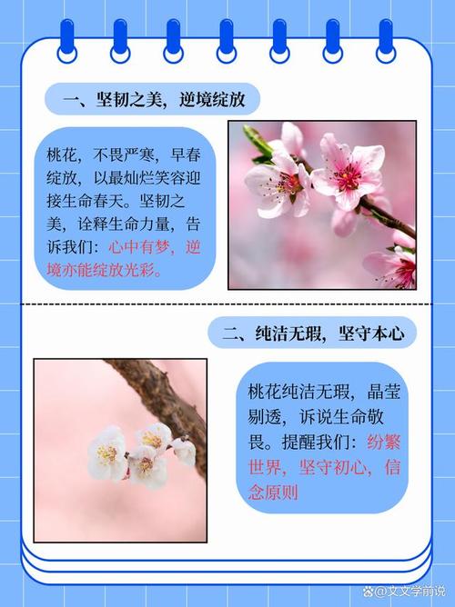 桃花的寓意和象征？桃花的寓意和象征意义？-第3张图片-优品飞百科