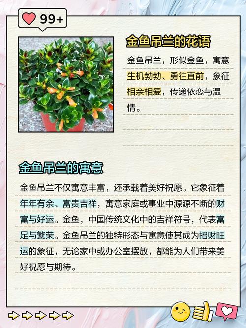 金鱼吊兰的花语和寓意，送人有什么禁忌，金鱼吊兰的摆放风水禁忌？-第3张图片-优品飞百科
