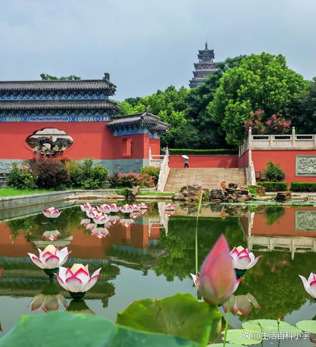 微山湖天气预报，微山湖天气预报15天查询结果？-第4张图片-优品飞百科