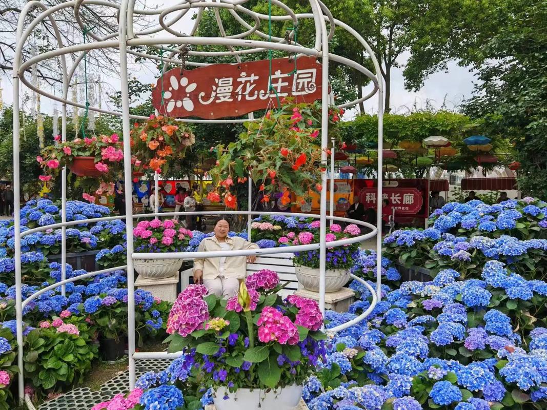 新繁天气预报?每天天气预报最新版?-第4张图片-优品飞百科 新繁天气预报?每天天气预报最新版?-第4张图片-优品飞百科