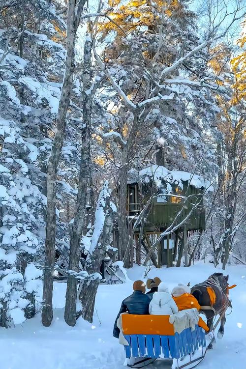 哈巴河县天气预报？哈巴河县天气预报最新？-第1张图片-优品飞百科