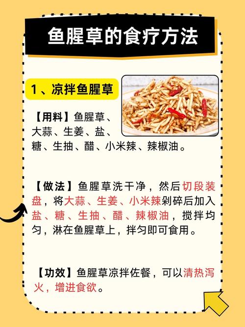 鱼腥草哪种人能吃哪种人不能吃，鱼腥草是什么？鱼腥草什么人不能吃 它有什么功效与作用？-第2张图片-优品飞百科