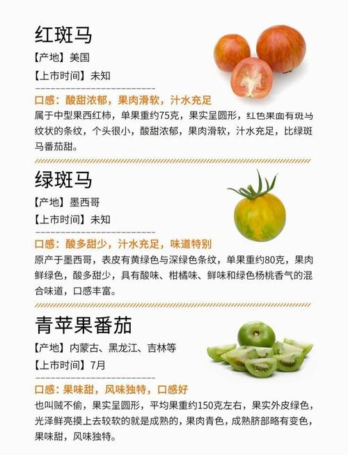 番茄的花语及植物文化，番茄的花长什么样子-第2张图片-优品飞百科