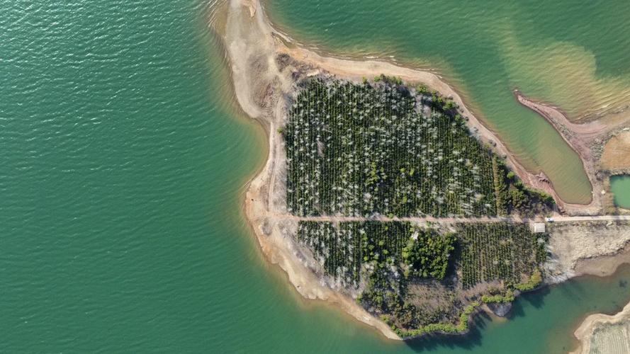 安徽省怀远县天气预报，安徽省怀远县天气预报十五天？-第7张图片-优品飞百科