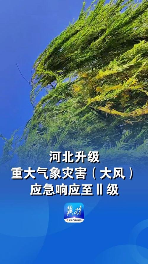 河北固安县天气预报？固安县天气预报详情？-第4张图片-优品飞百科