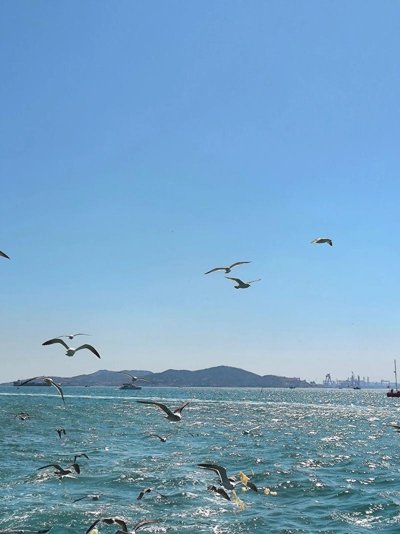 青岛6月份天气预报，2021青岛6月份天气-第1张图片-优品飞百科