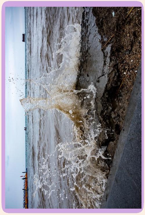 青海湖明天天气预报,青海青海湖天气预报-第4张图片-优品飞百科 青海湖明天天气预报,青海青海湖天气预报-第4张图片-优品飞百科