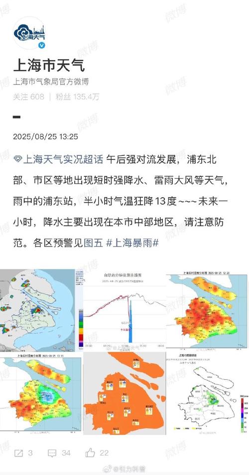 上海浦东天气预警情况查询,上海浦东天气预报15天查询结果-第4张图片-优品飞百科 上海浦东天气预警情况查询,上海浦东天气预报15天查询结果-第4张图片-优品飞百科