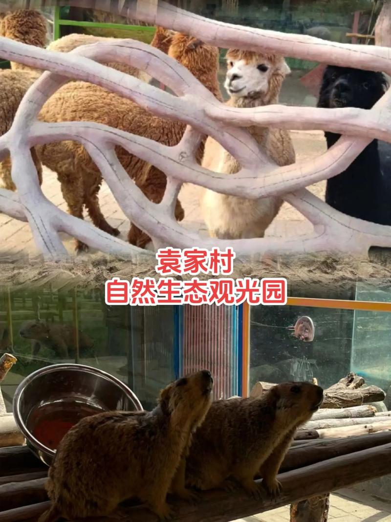 陕西礼泉天气预报，陕西礼泉天气预报7月18日-第3张图片-优品飞百科