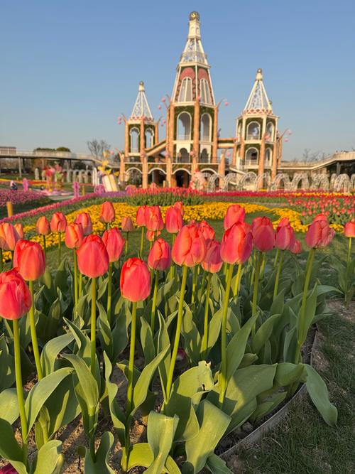 长宁区天气预报，长宁区天气预报一周？-第5张图片-优品飞百科