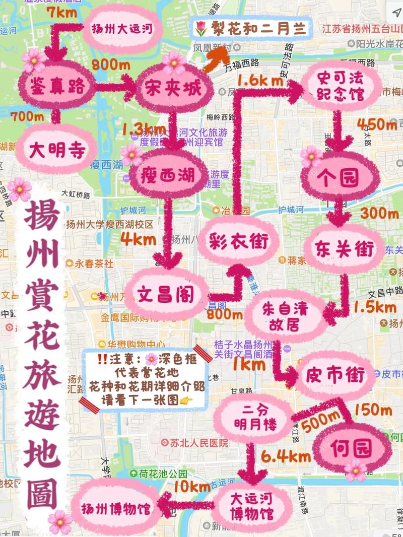 西宁的天气预报，西宁的天气预报一周？-第1张图片-优品飞百科