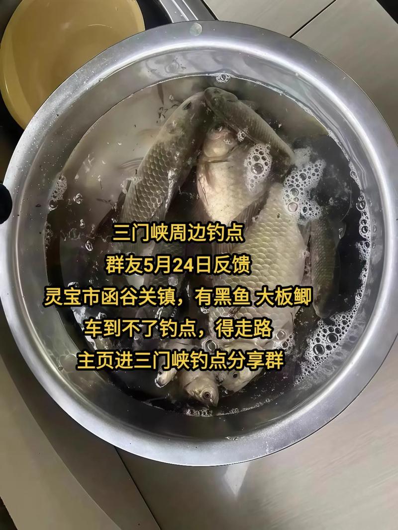 渑池县天气预报？渑池县天气预报15天？-第3张图片-优品飞百科