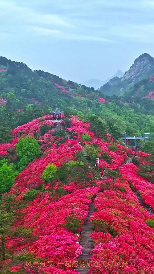 麻城龟峰山天气预报，麻城龟峰山天气预报15天当地天气查询表-第2张图片-优品飞百科