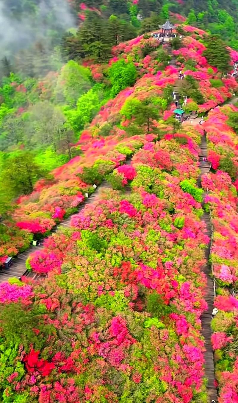 麻城龟峰山天气预报，麻城龟峰山天气预报15天当地天气查询表-第6张图片-优品飞百科