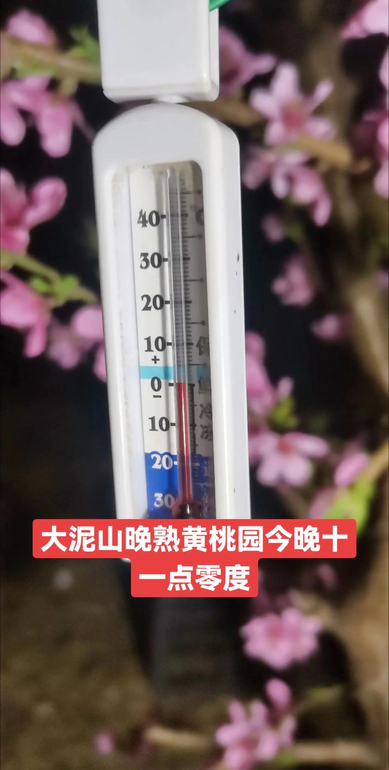 甘肃省天水市秦安县天气预报，甘肃省天水市秦安县天气预报一周？-第6张图片-优品飞百科