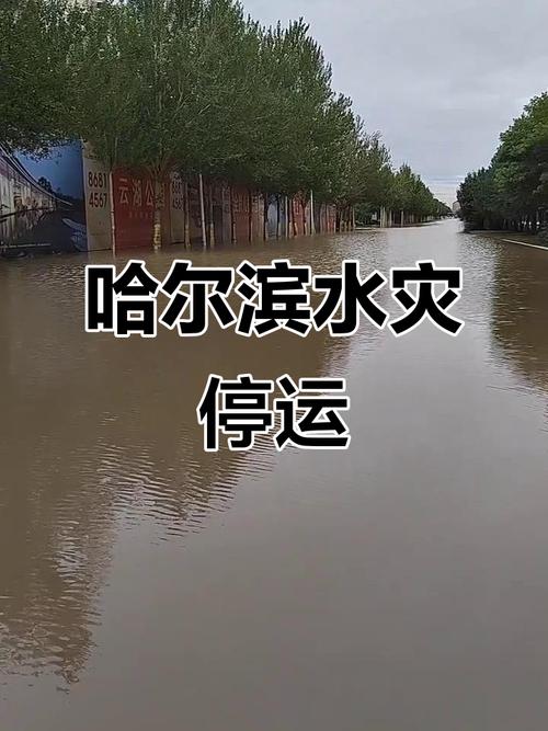 哈尔滨香坊天气预报，哈尔滨香坊天气预报15天查询最新消息及时间-第1张图片-优品飞百科