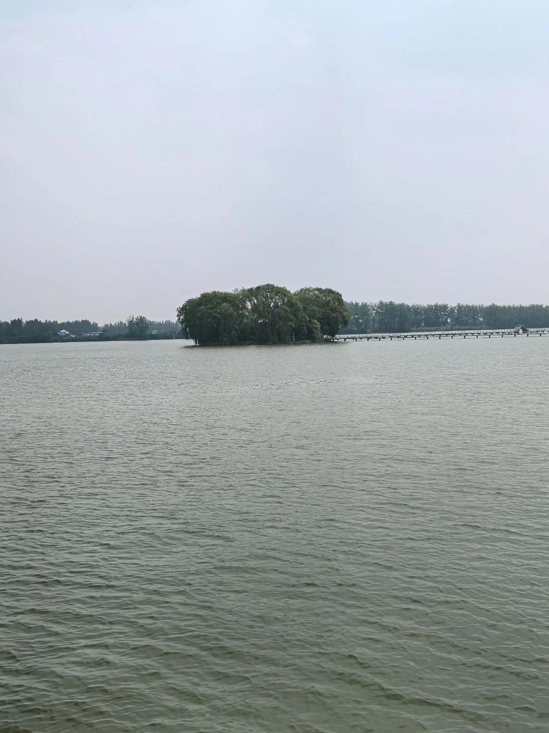 安徽八里河天气预报？安徽八里河风景区天气预报？-第5张图片-优品飞百科