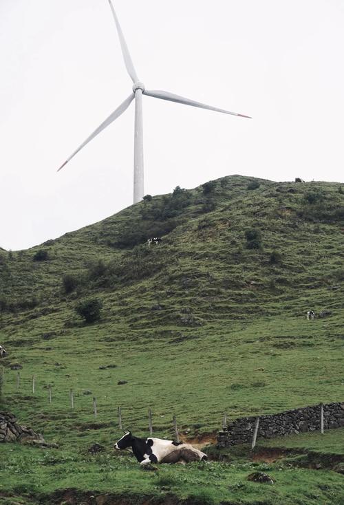 城步县天气预报，城步县天气预报7天-第2张图片-优品飞百科