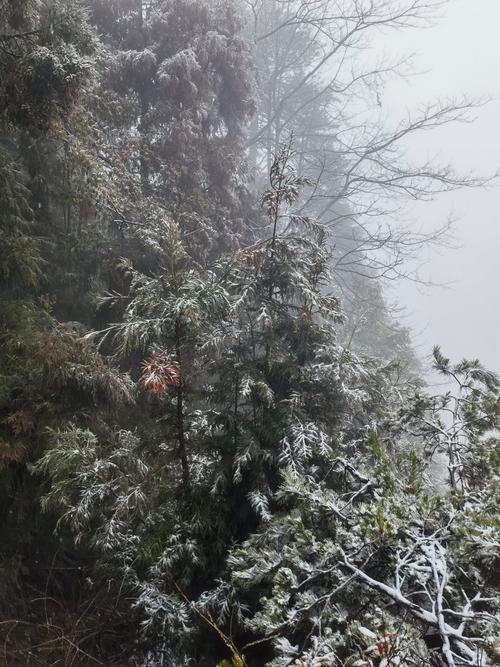 兴国县天气预报，兴国县天气预报40天准确-第5张图片-优品飞百科