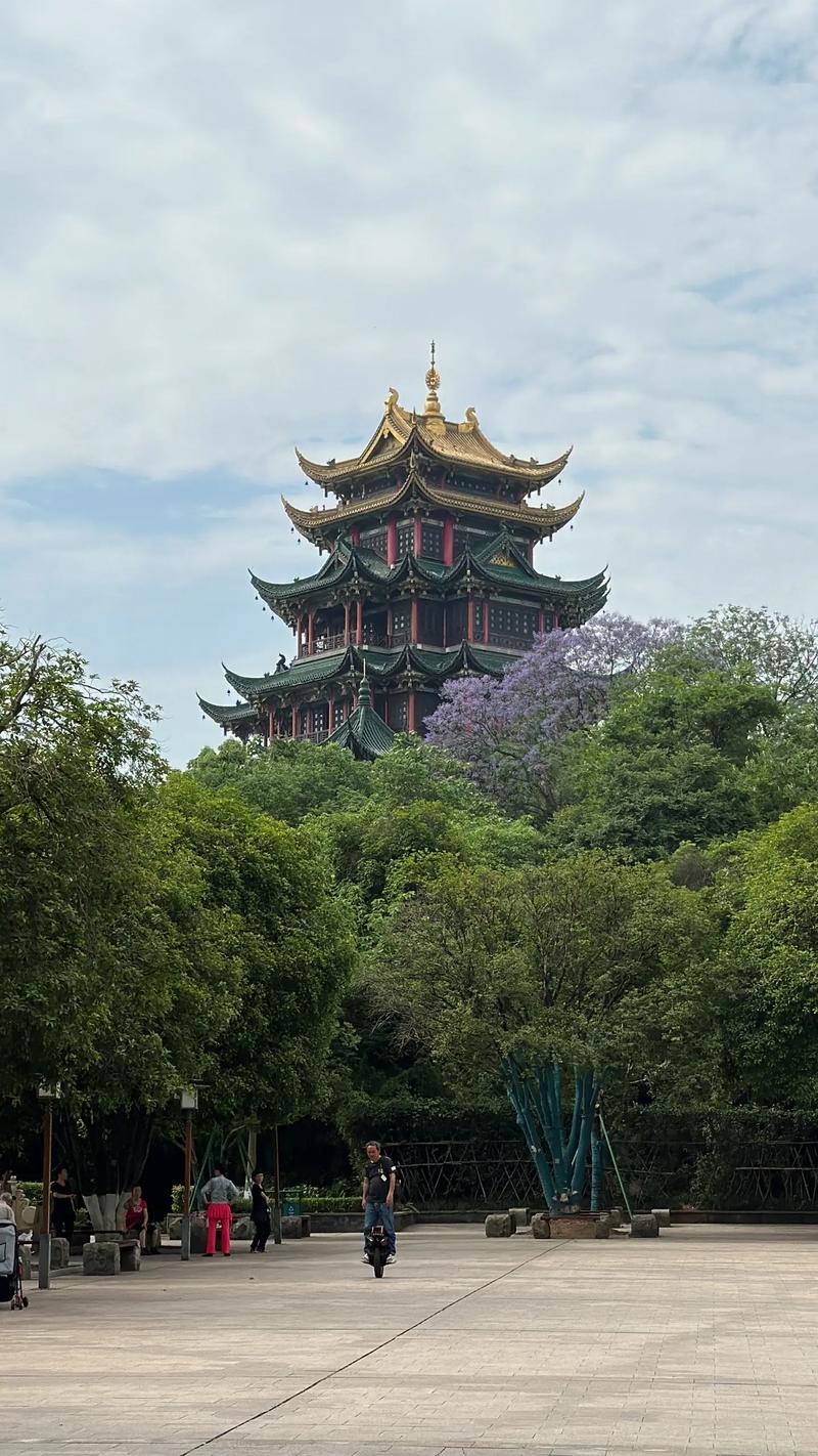 重庆渝中区天气预报，重庆渝中区天气预报15天查询天气？-第2张图片-优品飞百科